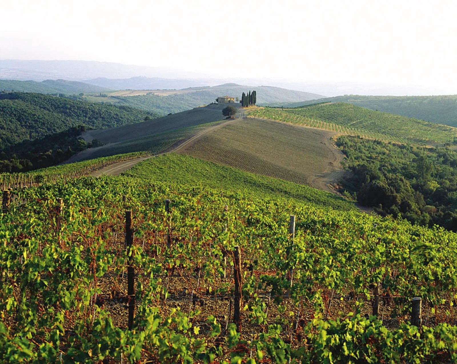 Castiglion del Bosco