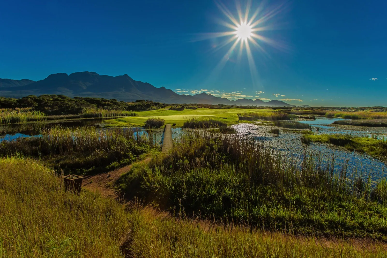Fancourt — Links Course