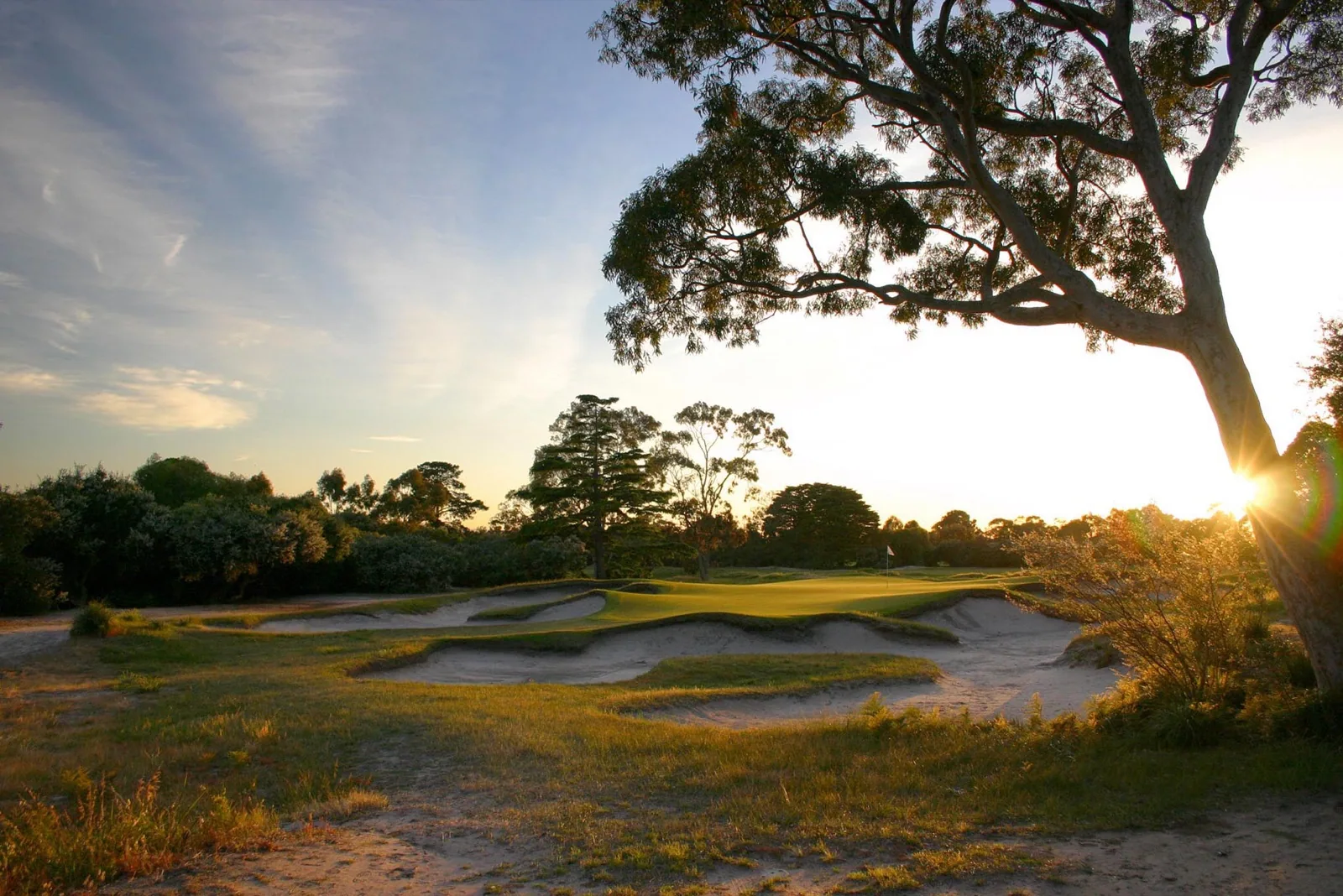 Kingston Heath