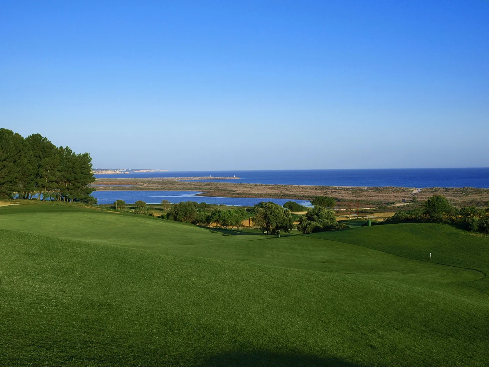 Palmares