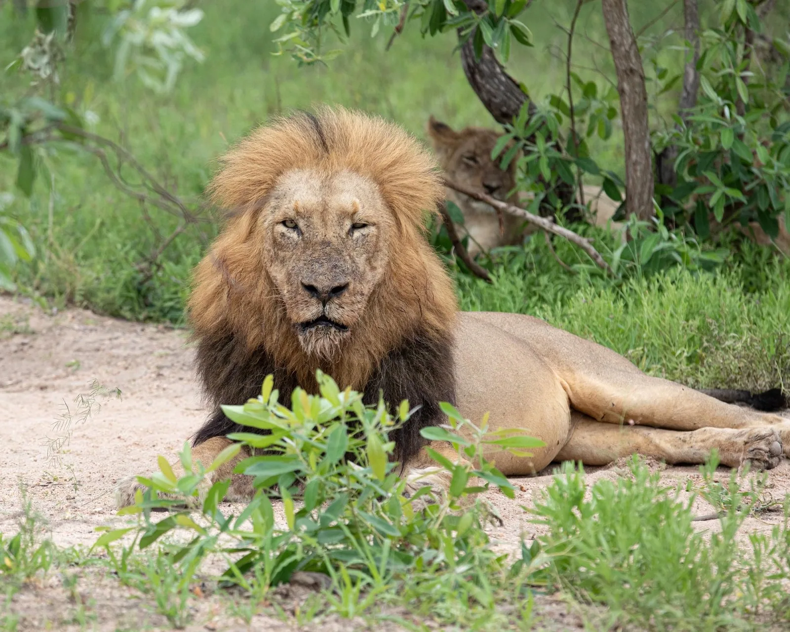 Kruger National Park