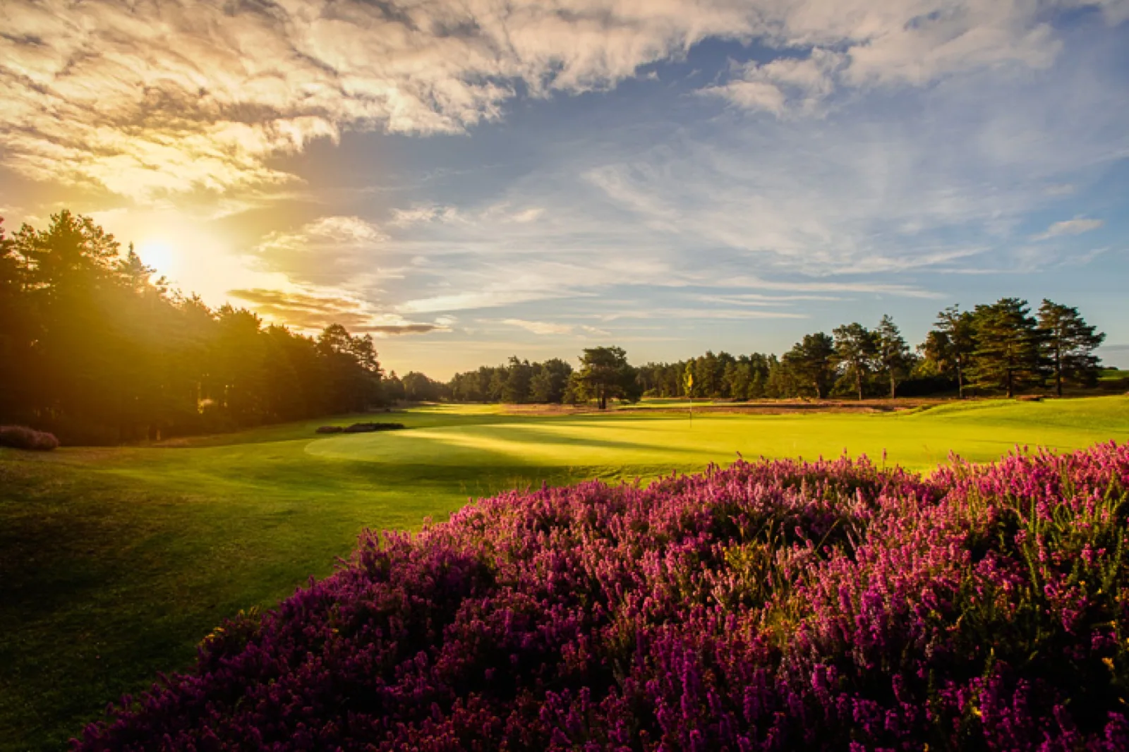 Sunningdale — New Course